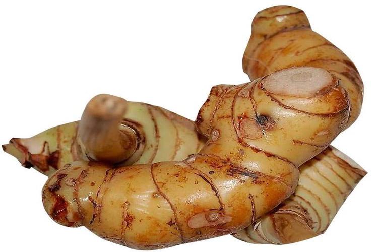 Galangal