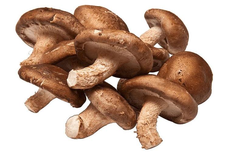 Shiitake